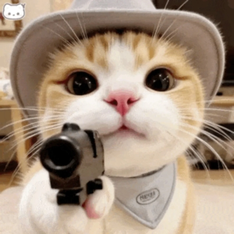 Meme động vật hài hước dễ thương