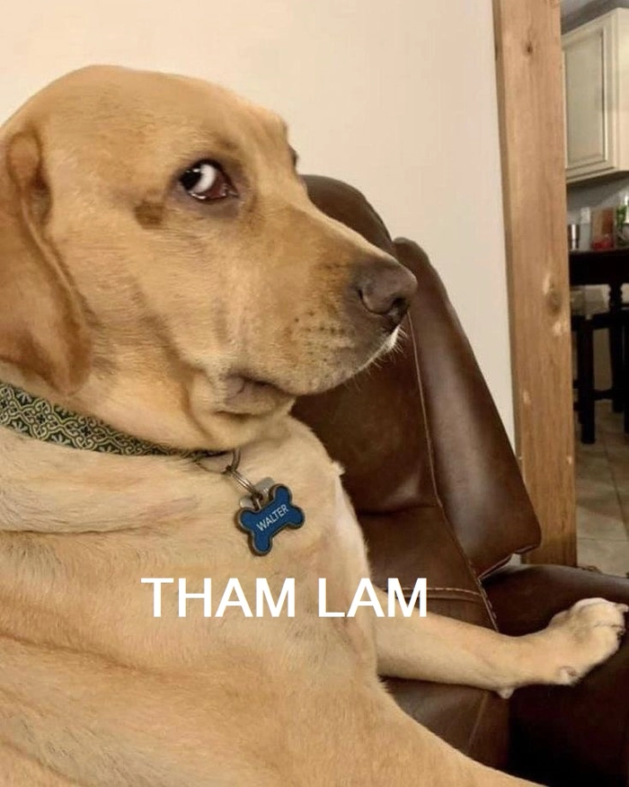 Meme gif tham lam hài không đỡ nổi