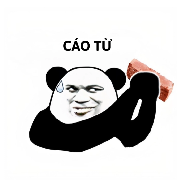 cáo từ meme gấu trúc