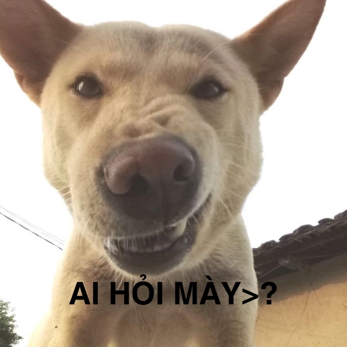 Ai hỏi mà nói nhiều thế