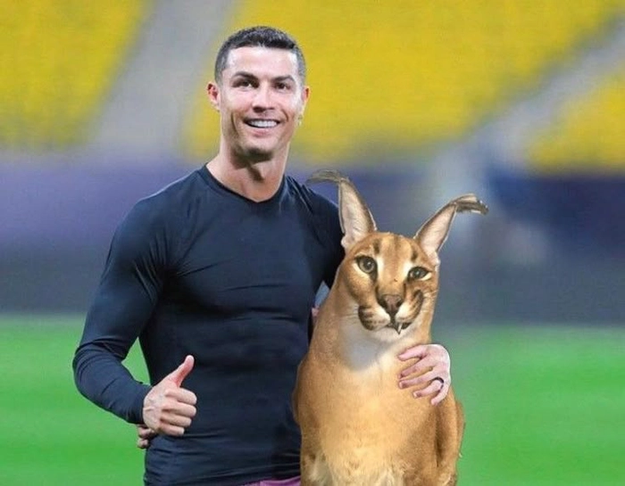 Ảnh Ronaldo meme bá đạo