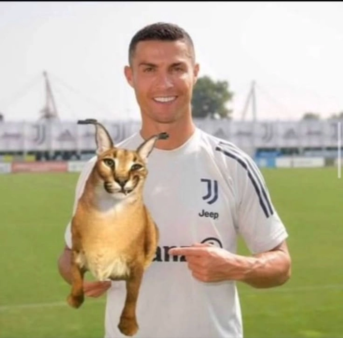 Ảnh Ronaldo meme cho fan bóng đá