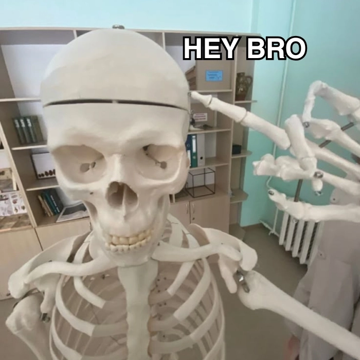 Ảnh Skeleton meme biểu cảm gắt