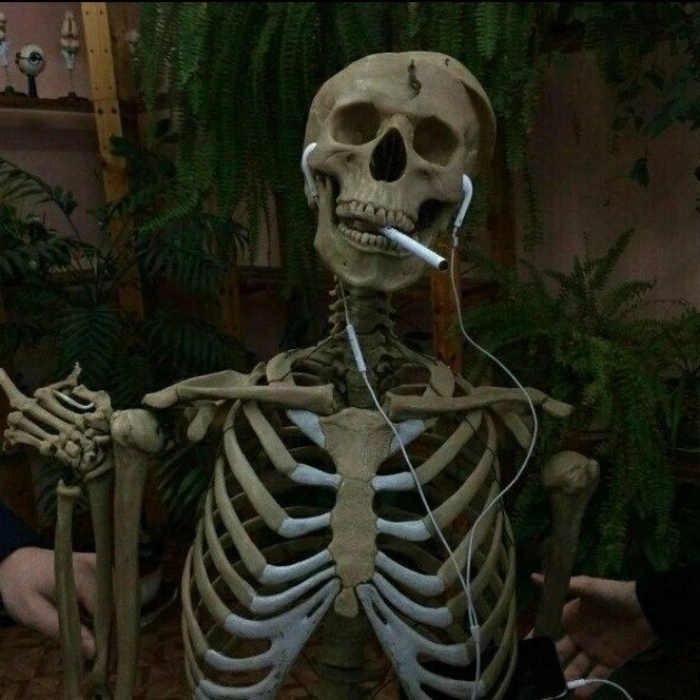 Ảnh Skeleton meme buông xuôi