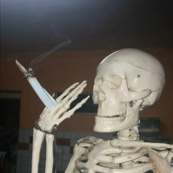 Ảnh Skeleton meme hài không lối thoát