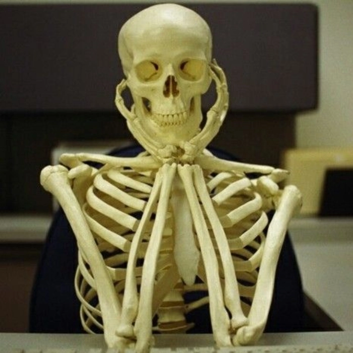 Ảnh Skeleton meme mệt mỏi