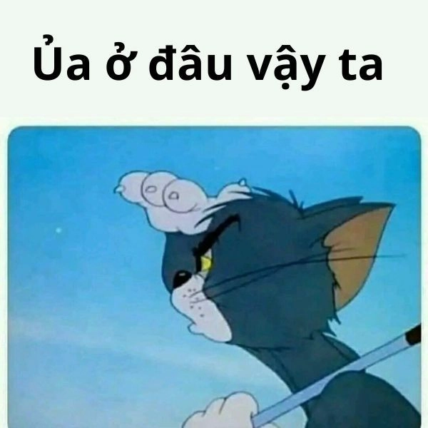 Ảnh meme Tom bị sốc