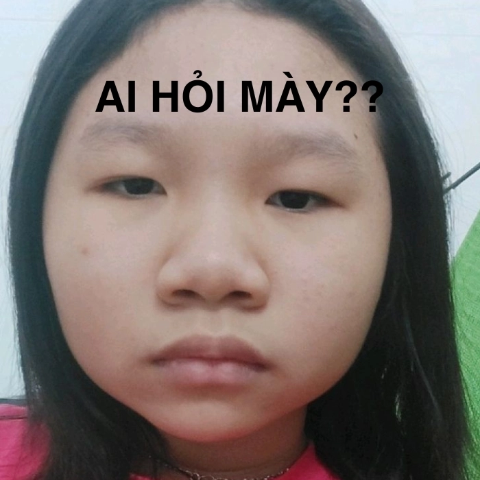 Ảnh meme ai hỏi chất chơi