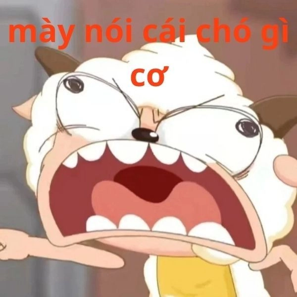 Ảnh meme bựa độc đáo