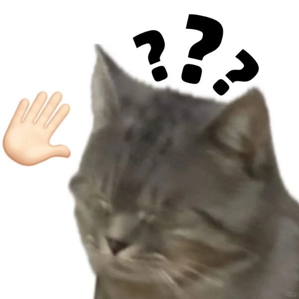 Ảnh meme mèo hài mỗi ngày