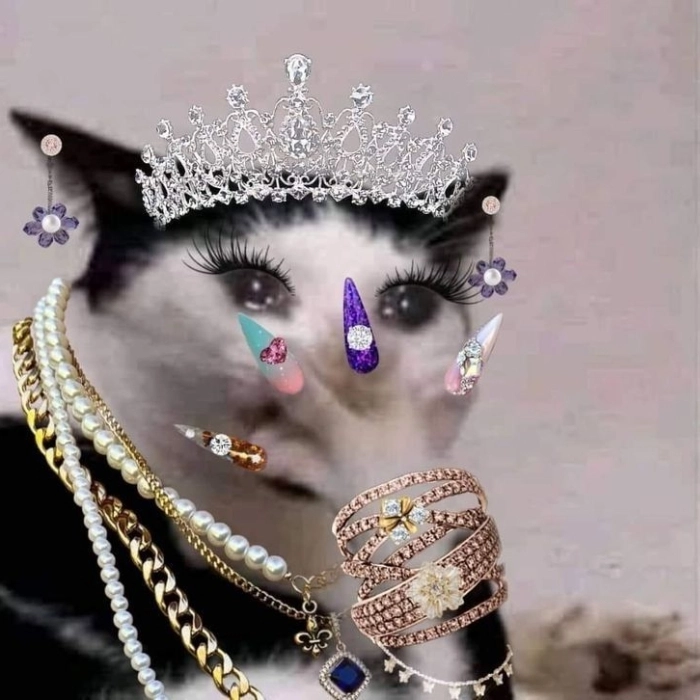 Ảnh meme slay thần thái