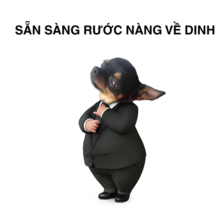 Chihuahua meme đáng yêu nhất