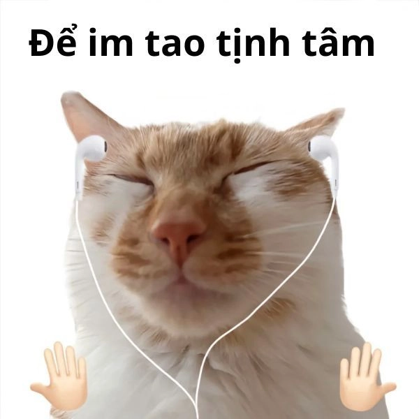 Hình meme mèo hài chill chill