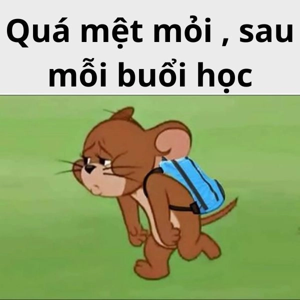 Meme Jerry cười khẩy