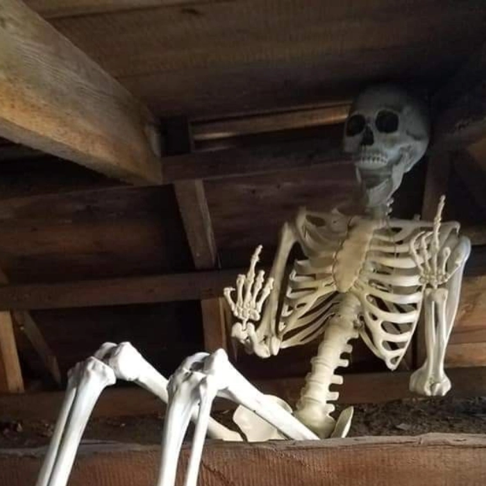 Meme Skeleton không nói nên lời
