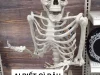 Cười “rụng xương” với 612+ ảnh Skeleton meme hài cực mặn