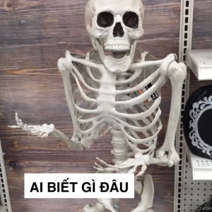 Meme Skeleton nhìn xa xăm