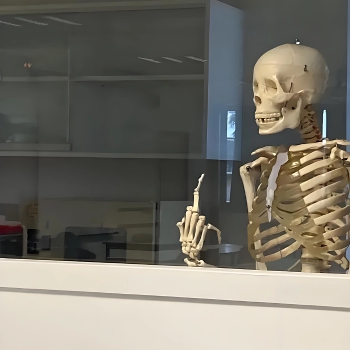 Meme Skeleton tâm trạng