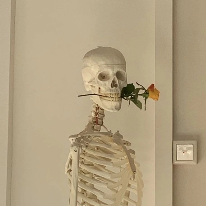 Meme Skeleton tấu hài mạnh