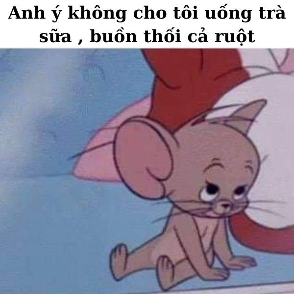 Meme Tom Jerry bản chế