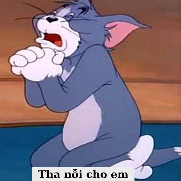 Meme Tom Jerry troll nhau