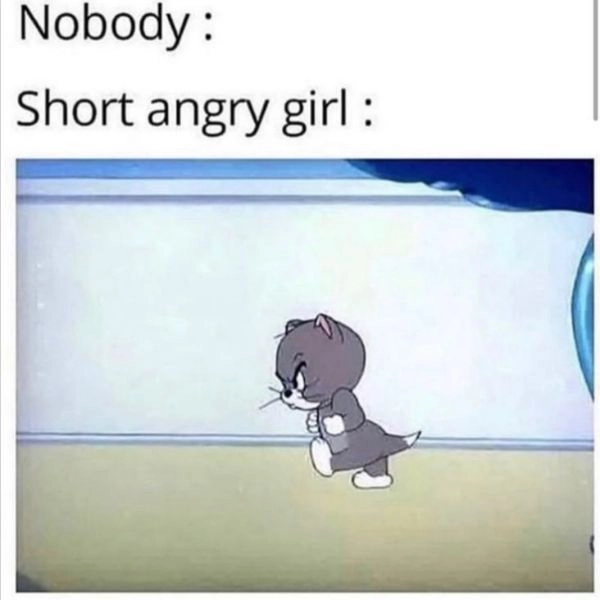 Meme Tom and Jerry cực chất