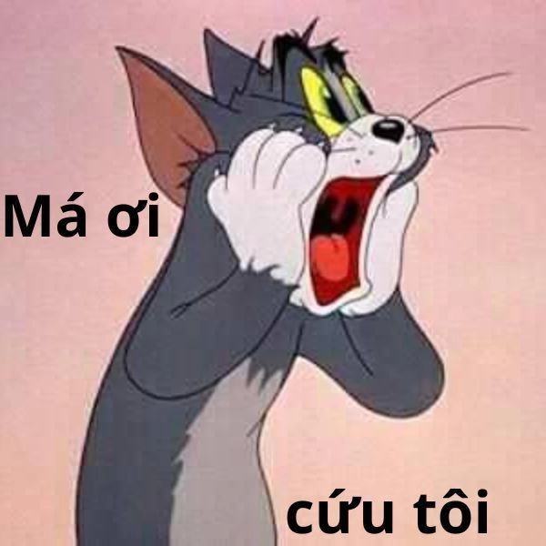Meme Tom and Jerry hài hước