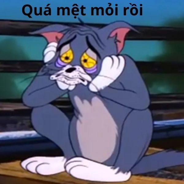Meme Tom bị troll