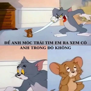 Meme Tom cười gian