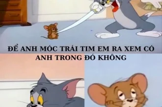 Bật ngửa với list 219+ ảnh meme Tom and Jerry hài hước nhất