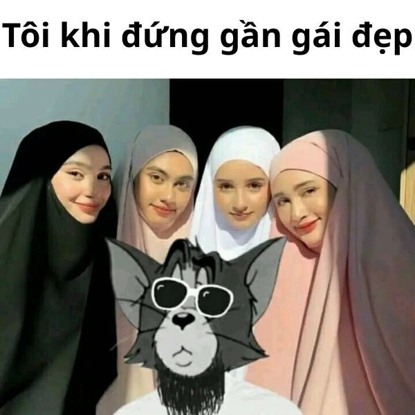 Meme Tom giả trân