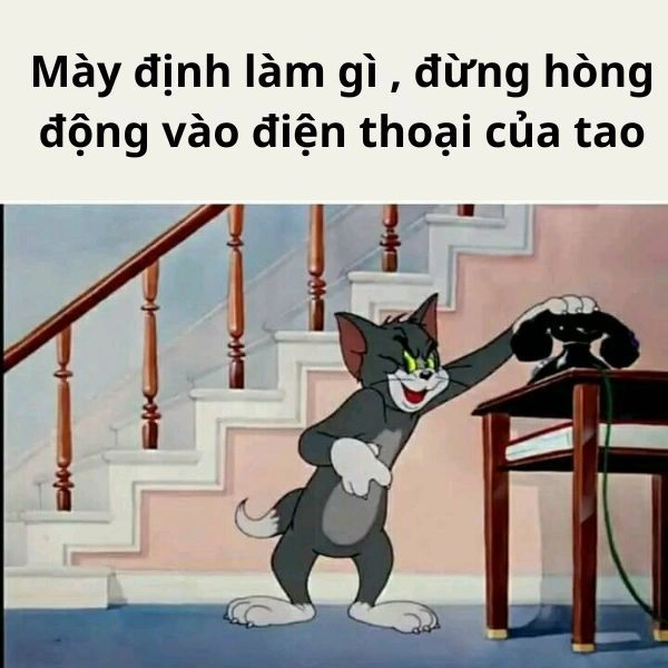 Meme Tom và Jerry siêu lầy