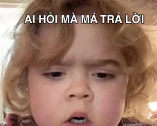 Lưu ngay 177+ meme ai hỏi: Combo cà khịa không cần trả lời