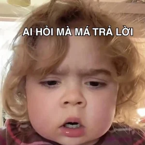 Meme ai hỏi kiểu khó đỡ