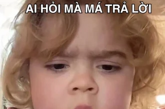 Lưu ngay 177+ meme ai hỏi: Combo cà khịa không cần trả lời