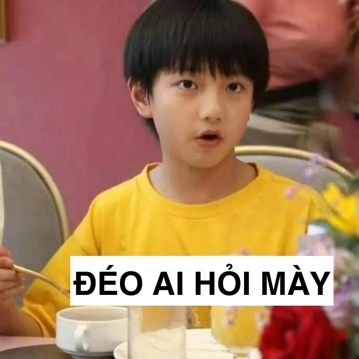 Meme ai hỏi mà rep như thật