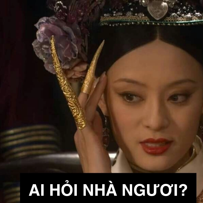 Meme ai hỏi mặt ngơ