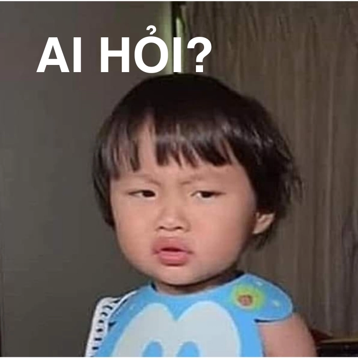 Meme ai hỏi nhẹ mà thấm