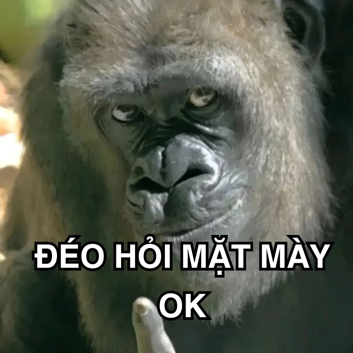 Meme ai hỏi trong group chat