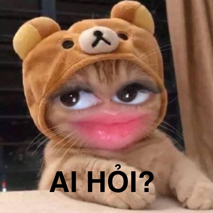 Meme ai hỏi version thú cưng