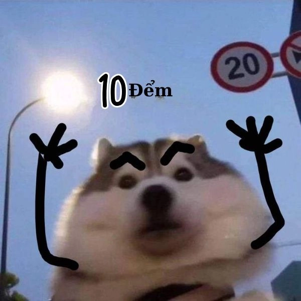 Meme bựa để đăng story