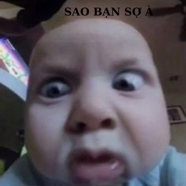 Meme bựa lầy lội nhất
