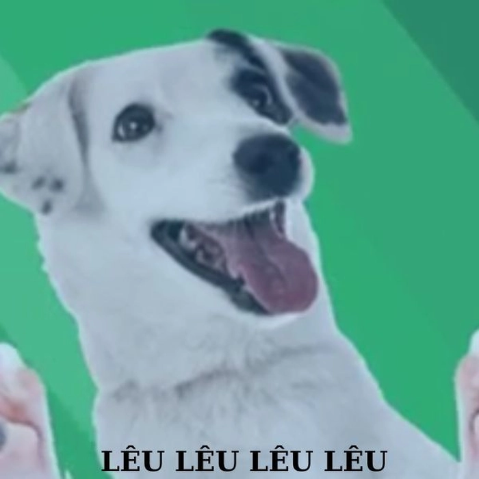 Meme chó cười chất lừ