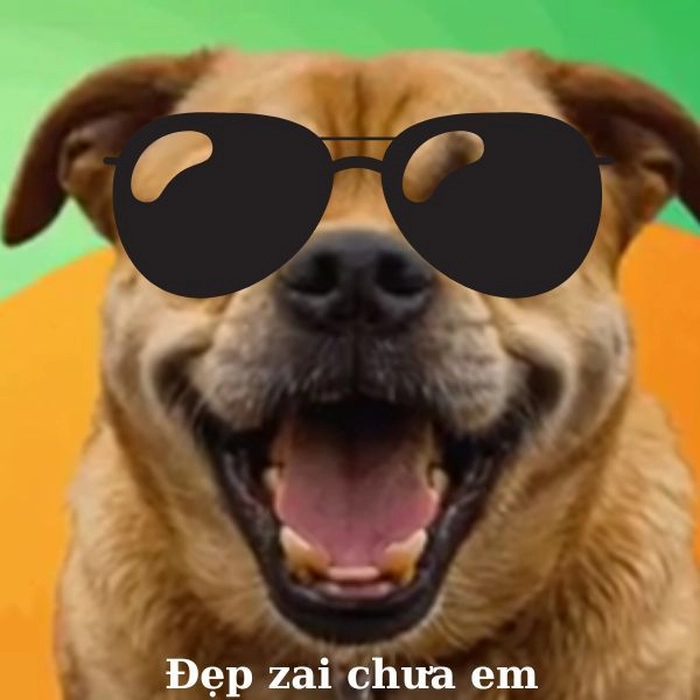 Meme chó cười chảy nước mắt