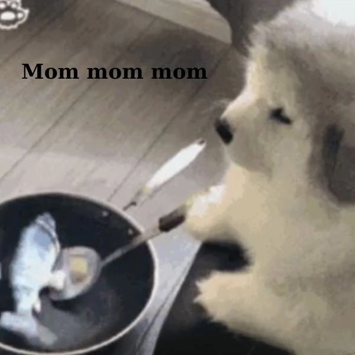 Meme chó lườm meme cực gắt