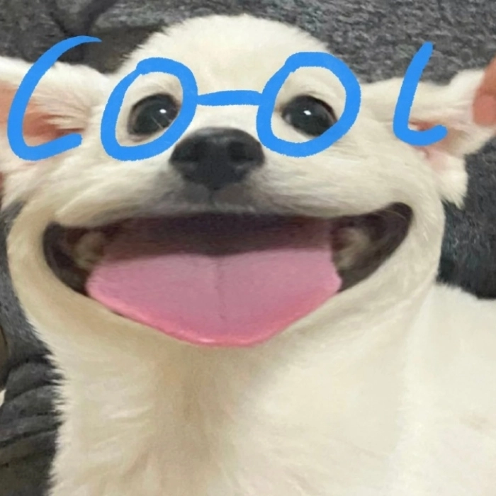 Meme con chó bị ong đốt mặt