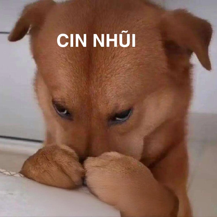 Meme con chó ôm đầu bất lực