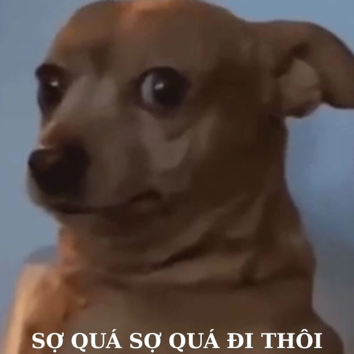 Meme con chó siêu drama