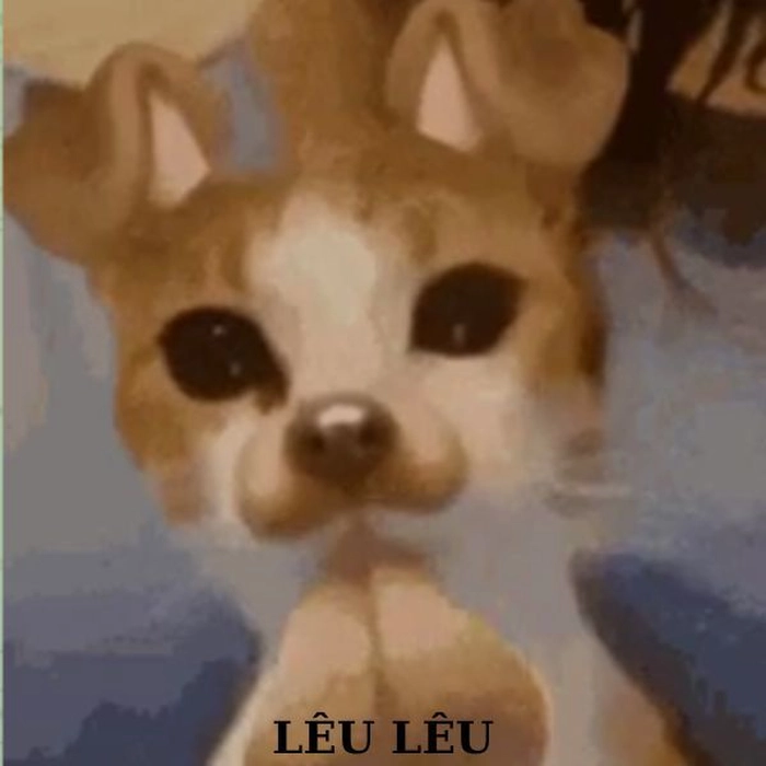 Meme con chó troll cực mạnh
