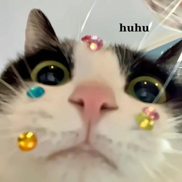 Meme con mèo khóc bựa